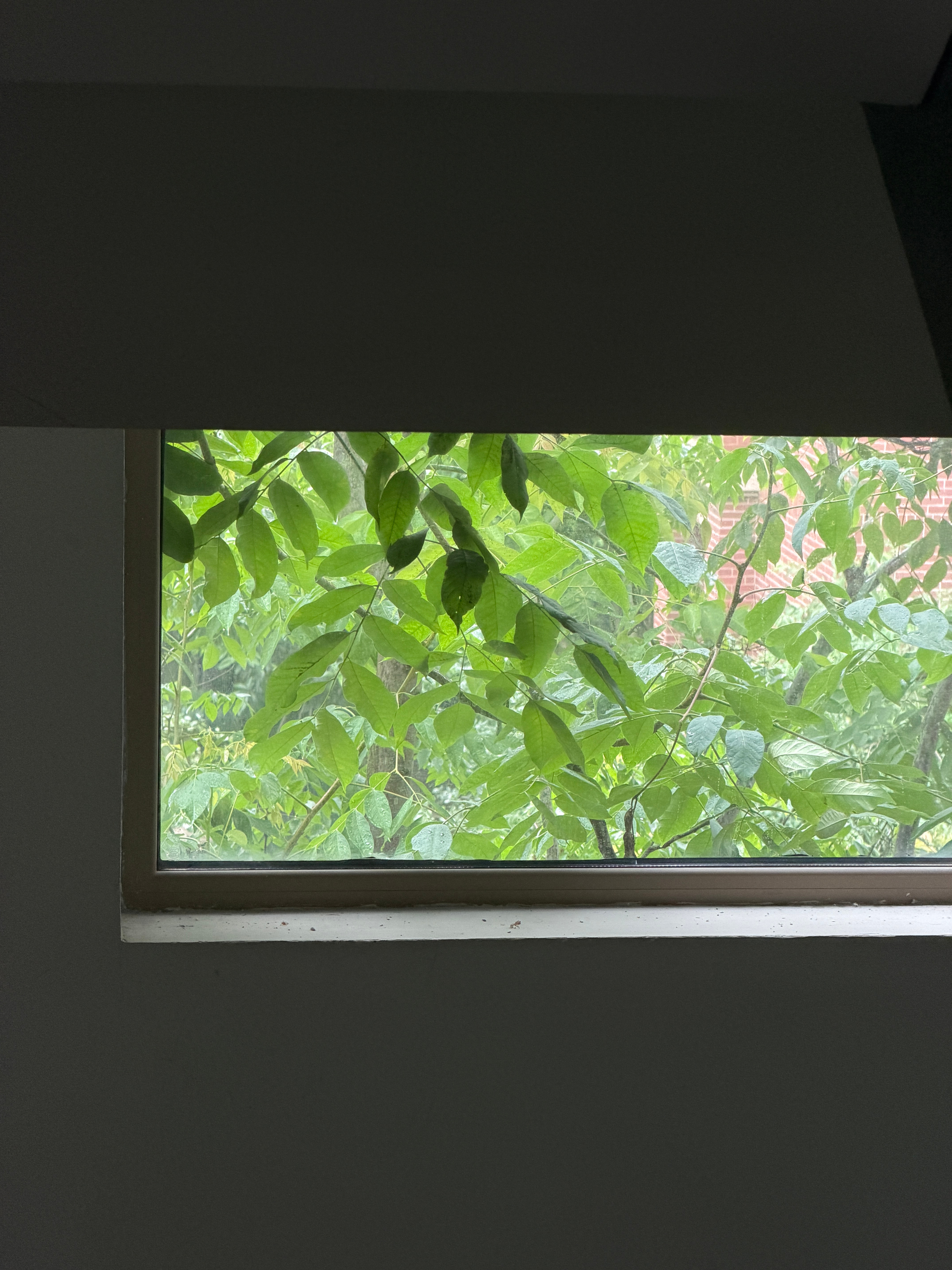超级湿热来了我看亚马逊未必有杭州湿润出门感觉被牛舔了，空气黏糊糊的，心态好的可以