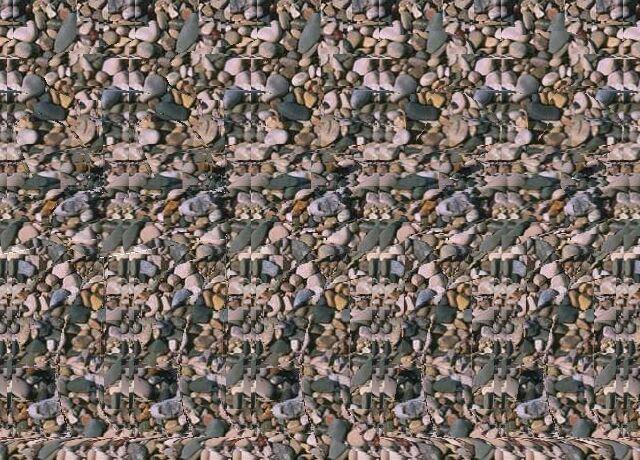 这是两张神奇的三维立体图，你看到了什么？