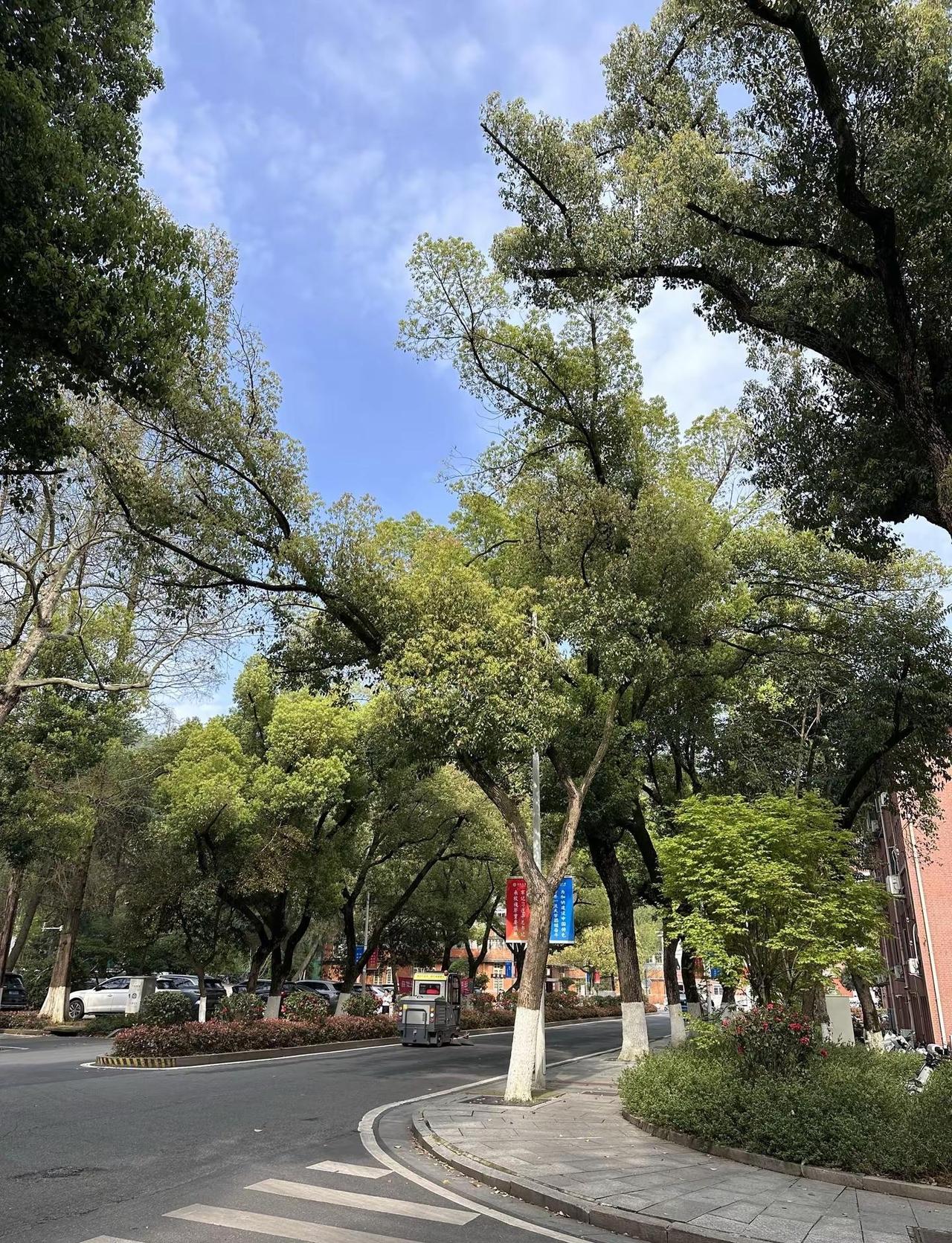 青天大老爷！长沙的天终于晴了！ 女博士 原相机live live是图片的生命力