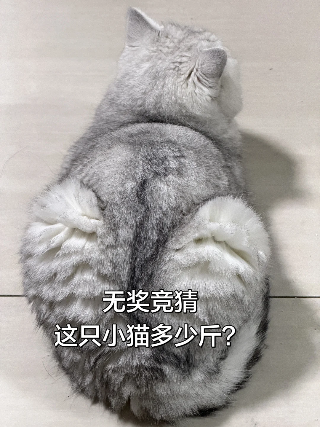 估计没人可以猜中
