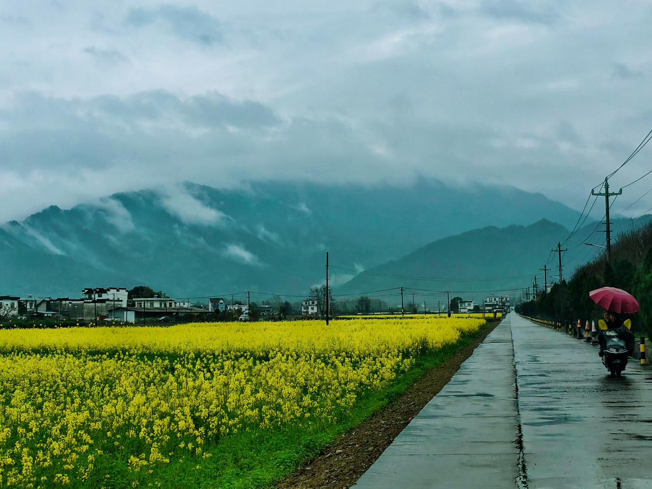 【原创】
一生痴绝处，无梦到徽州。
徽州黟县历川，不知名的小村雨后也是绝美风景…