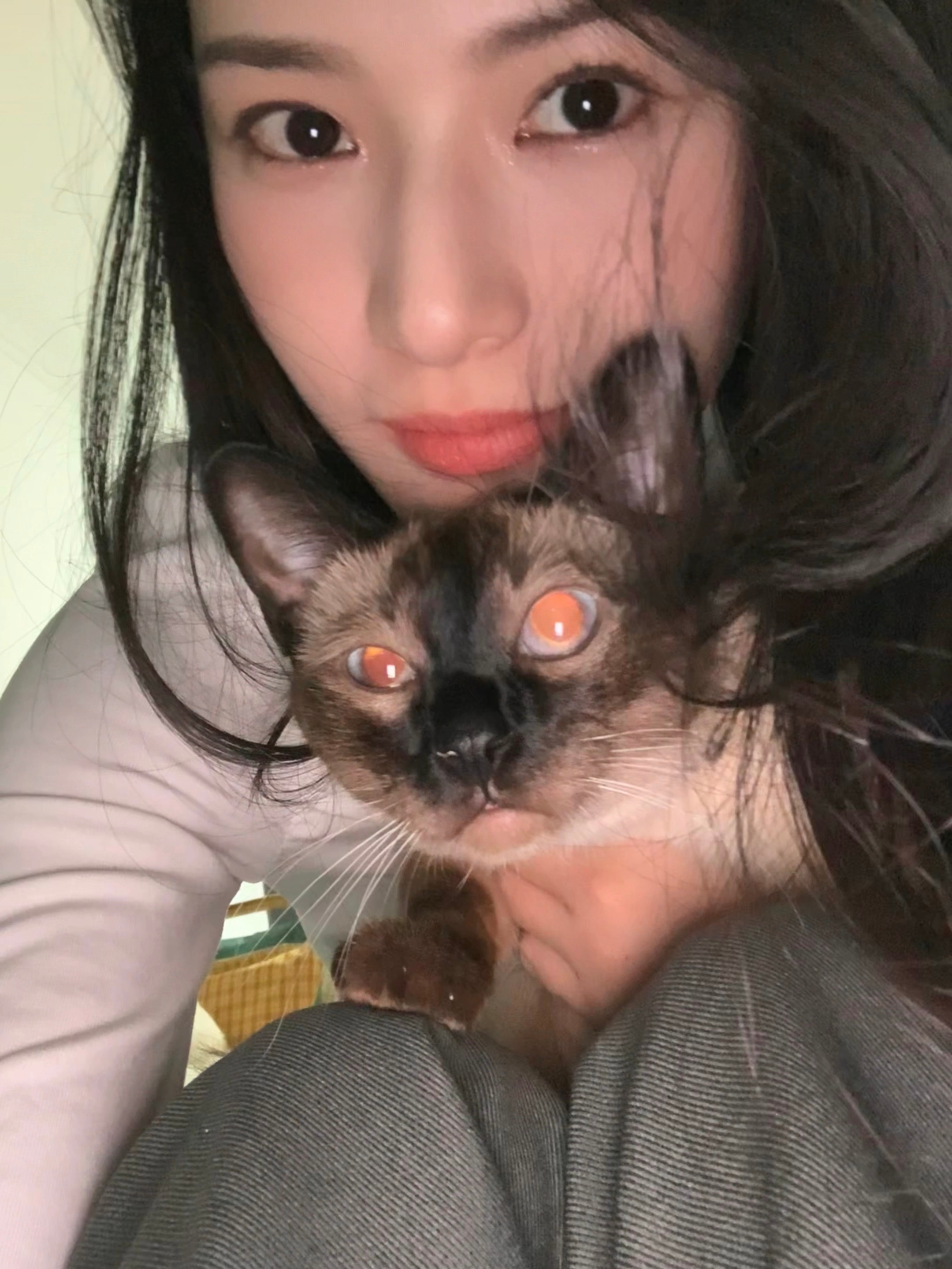 是金子总会被我花光 