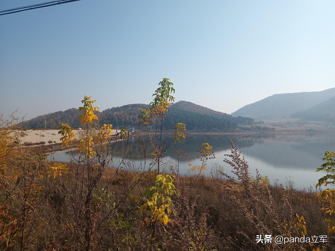 长春双阳区柳树水库
和老伴看完红枫叶，就朝附近的柳树水库走去。
水库这风景极好。