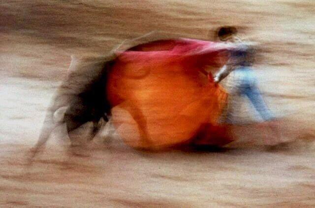 爱是无数次自由选择的累积