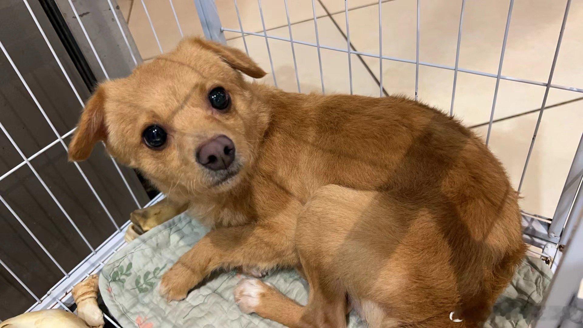 这个qq的宝宝 我真的每天要亲十次 ​​​