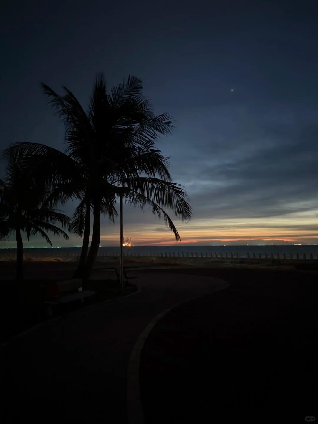 黄昏退场之后，夜色慢慢笼罩海岸。椰树化作深色剪影，海平面残留着淡淡的橘色余光，远