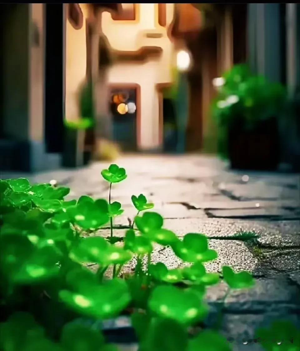 走吧
答案在路上
自由
自由在风里
随风
风吹哪页读哪页
随意
哪页难懂撕哪页