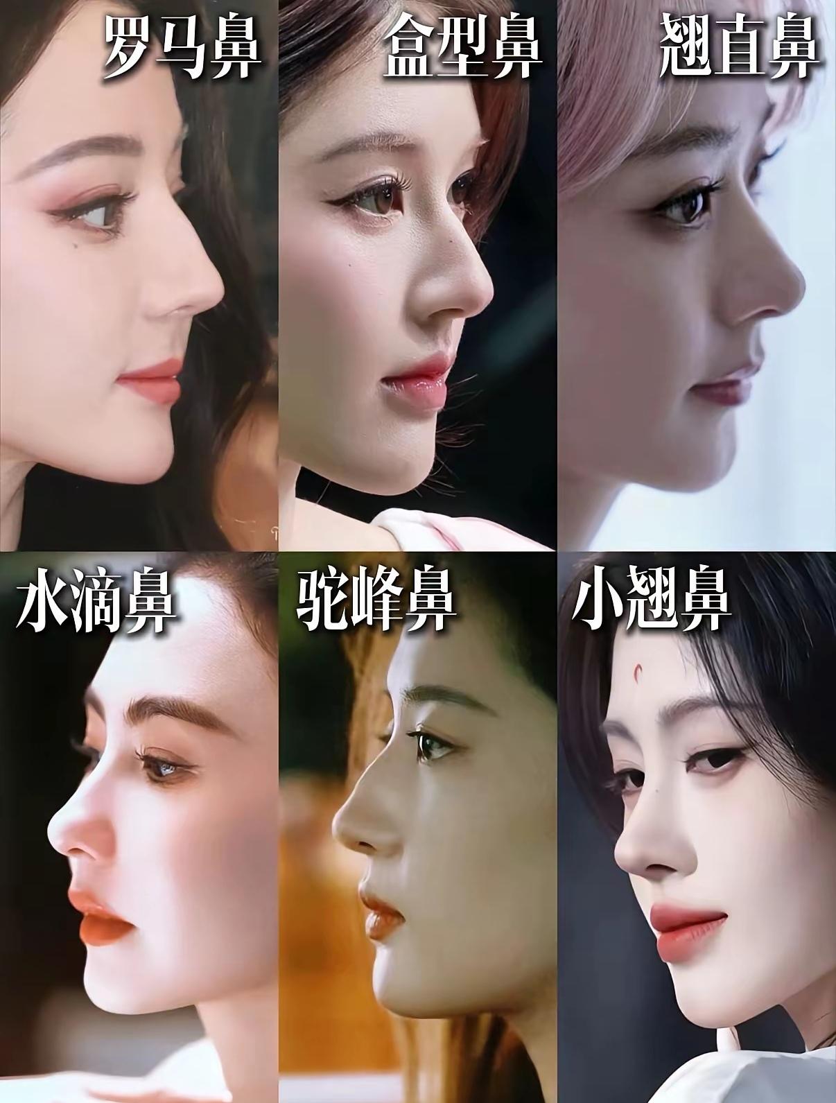 哪种鼻子看起来完美