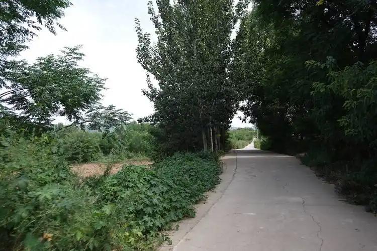 过路口一定要减速  越是看似安全的路段  越要保持警惕
在过路口时要提前减速，脚