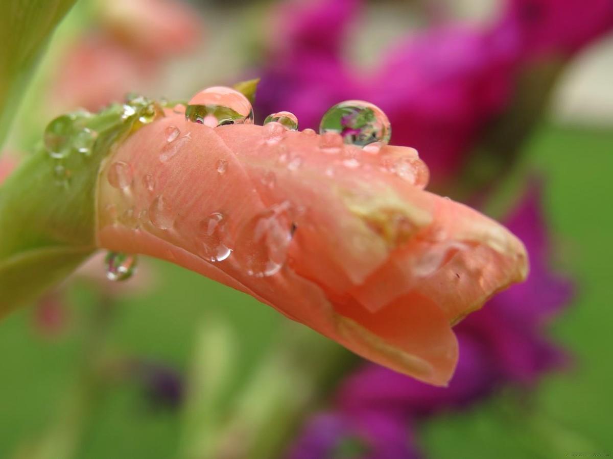 原文说，没结局的事，才永远不会结束。
没说完的话，才永远留在心里。
没等到的人，