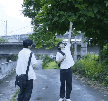 文轩你哄哄我 我哄哄你 我们就这样咪咪喵喵汪汪嗷嗷在一起一辈子 