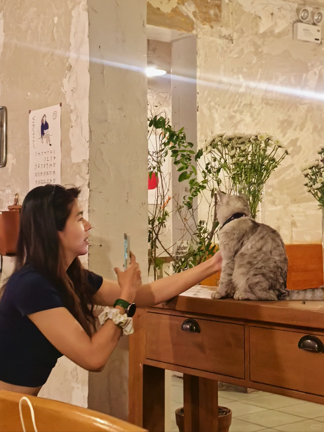 🐈是它先摇尾巴勾引我的！