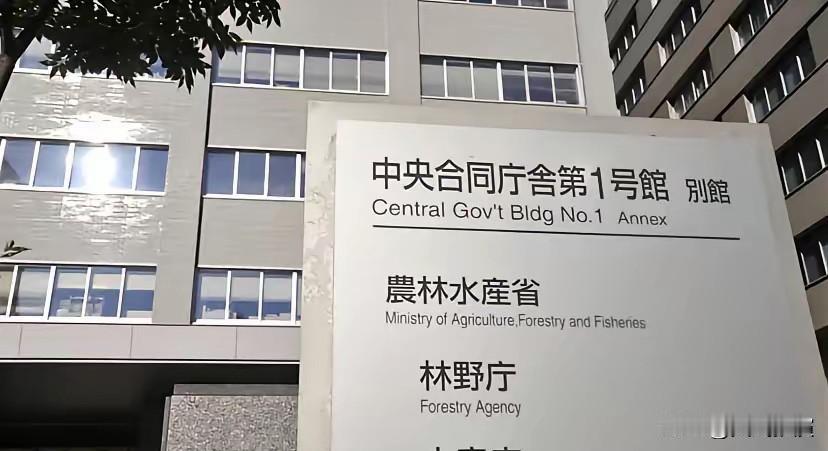 中国船长已获释，日本海保：警告日本渔民避免去钓鱼岛

大快人心！被日本扣押的中国