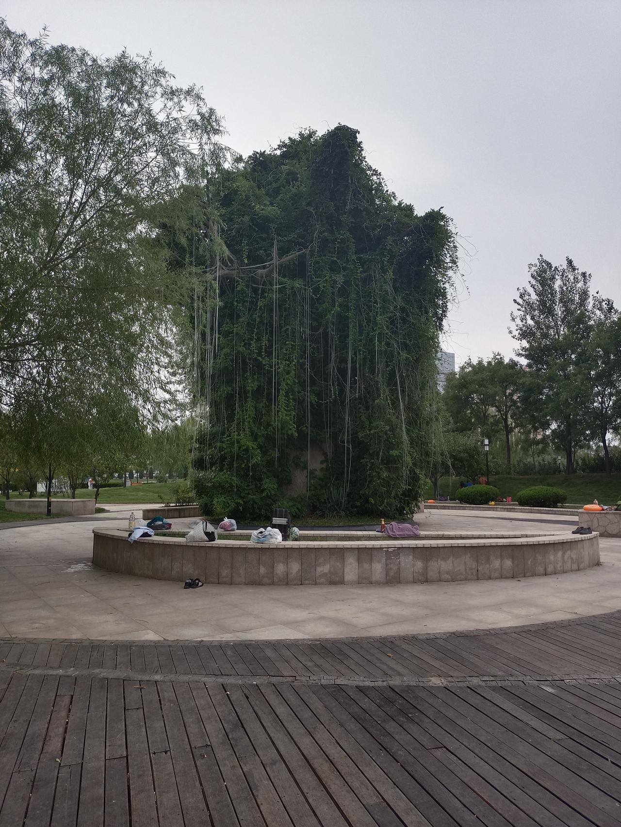 今日分享随手拍照片