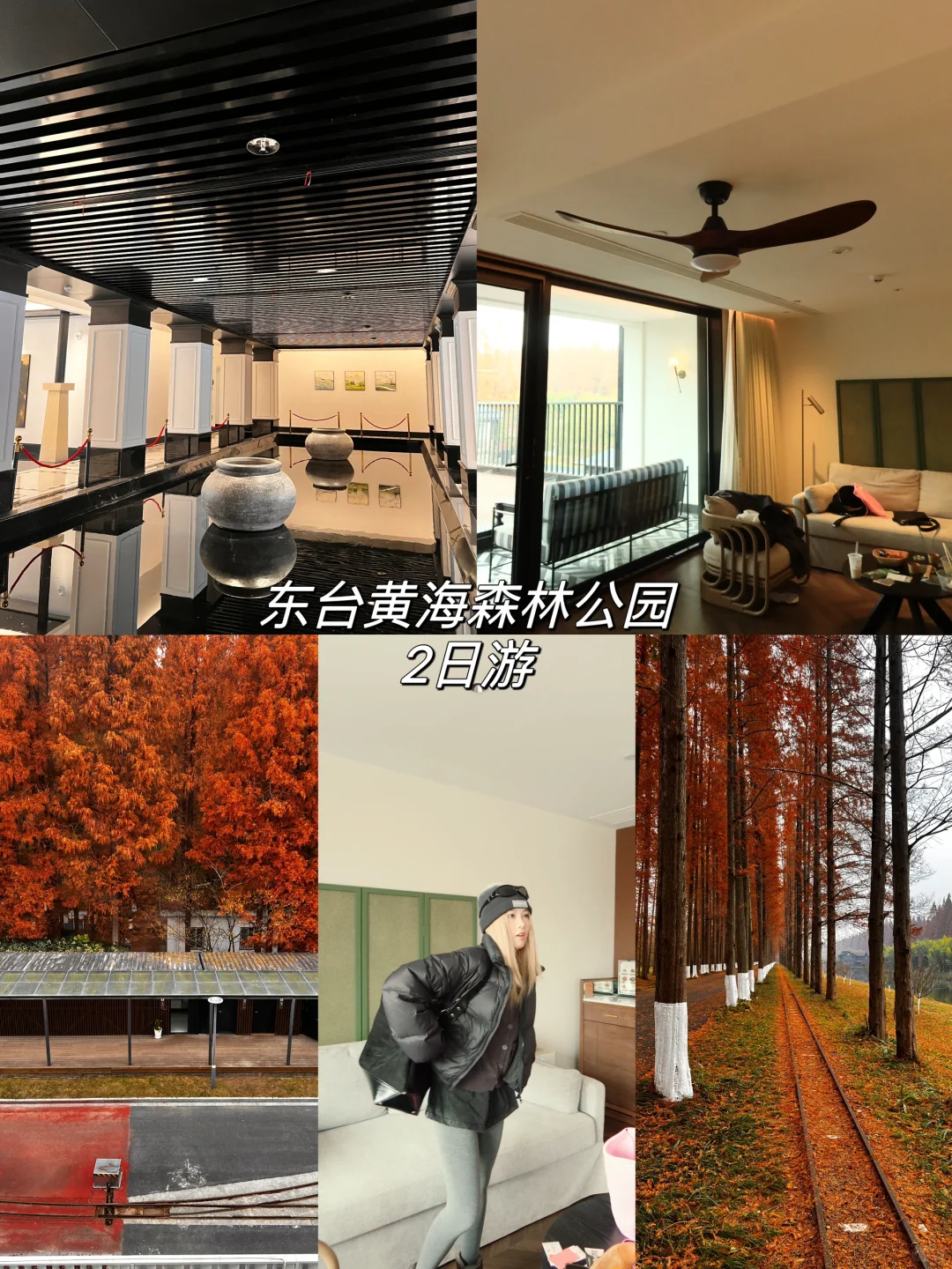 小众周边游体验篇｜东台黄海森林公园