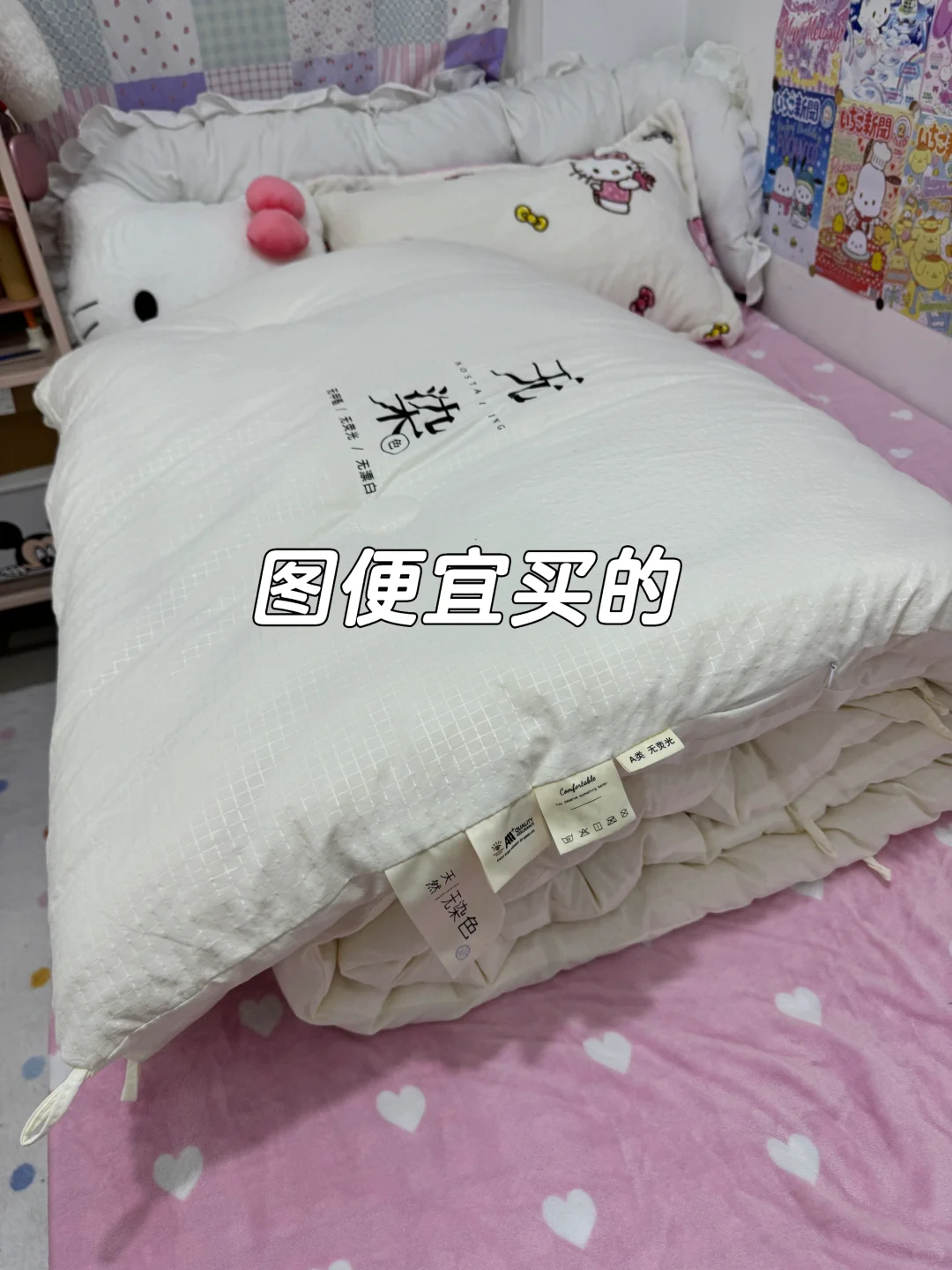 租房冬被安全下车！几十块💰太香了！