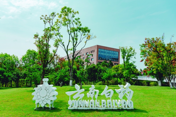 “百年老店”焕发新活力 云南白药聚焦回归“健康之道”