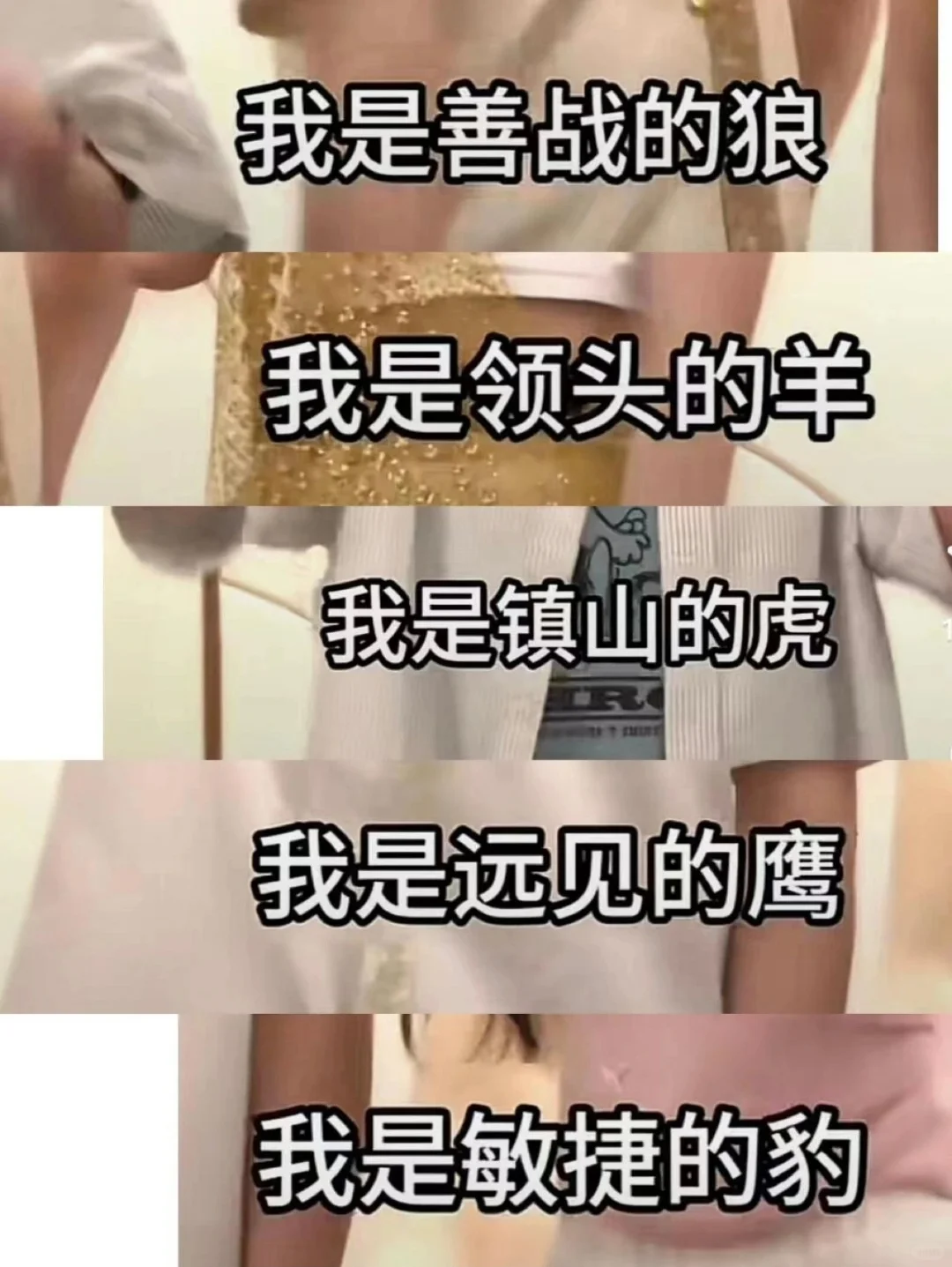 笑死在评论区，出不去了，哈哈哈