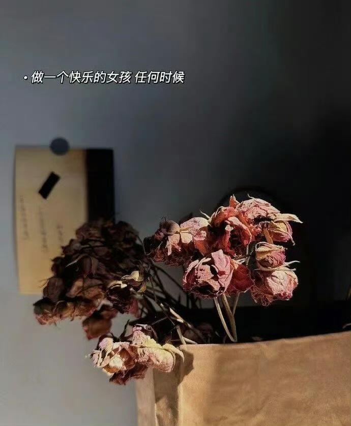 除了真诚，不想看任何人的表演，人性这一课早已交卷。
