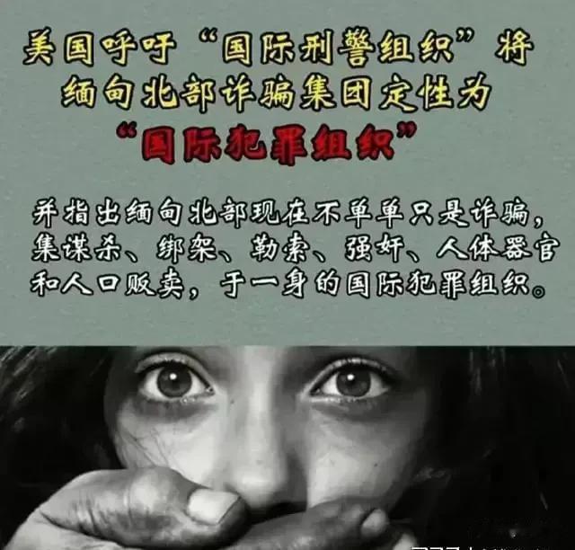 这一次我要坚定地站在美国一边

网络上铺天盖地的中国人被骗去缅北，有的被截肢，有