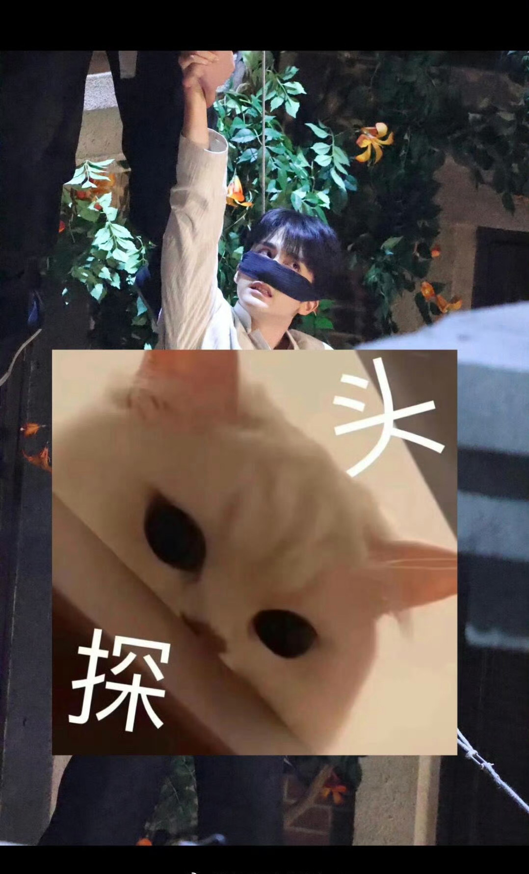 丁禹兮蒙脸吊威亚路透 丁禹兮张新成，一起蒙脸一起吊威亚，嗑不到的有难了！[送花花