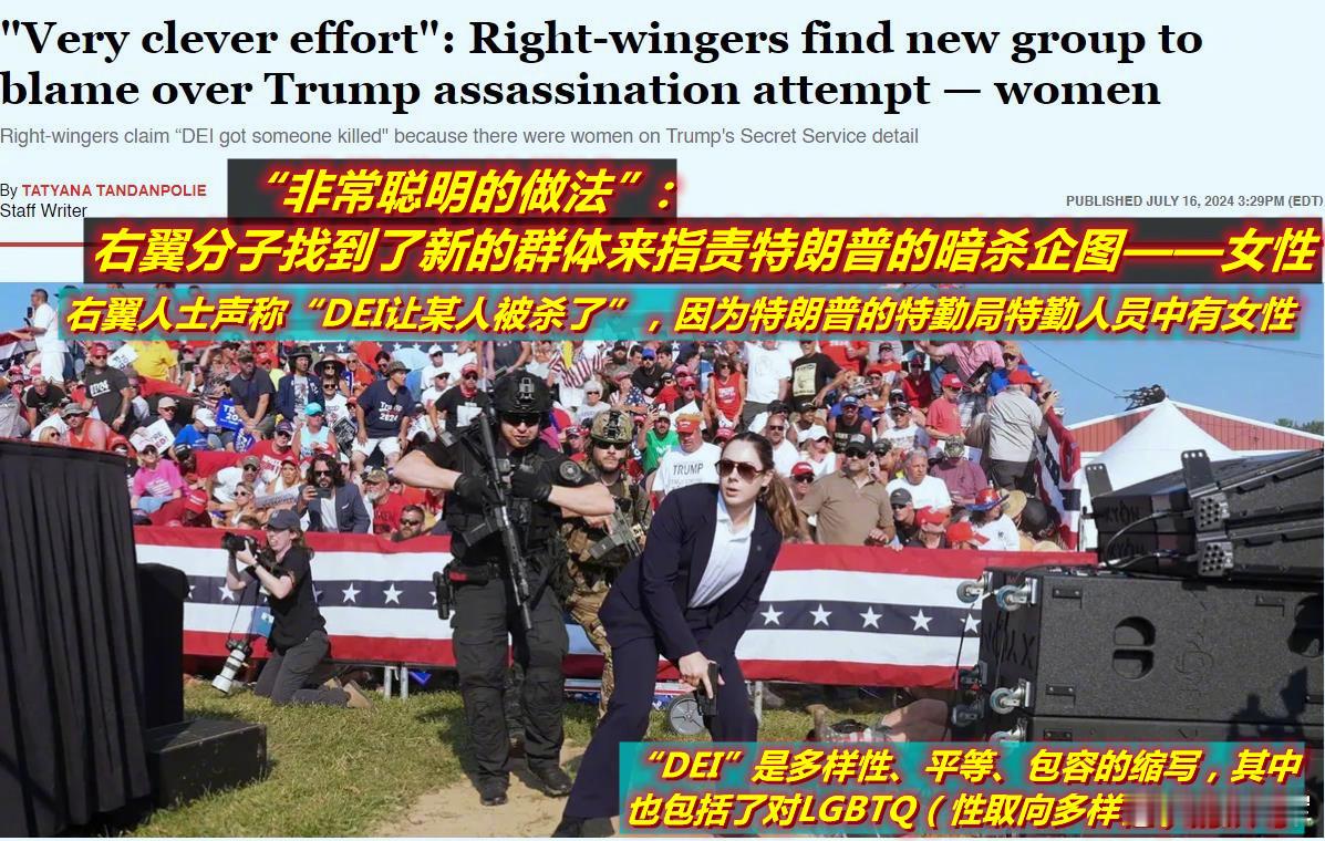 图1：亲民主党的媒体“沙龙”说右翼共和党人要把枪击事件往两党展开的性别“文化战争
