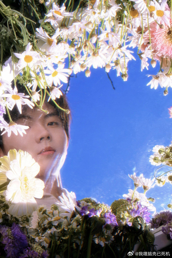 马嘉祺花儿与少年写真马嘉祺周末露营照 马嘉祺花儿与少年写真，马嘉祺周末露营照，是