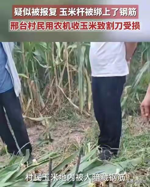 怎么能有人在秋收的时候干出这种事。
 
徐家河乡这块玉米地，宋先生家请来的收割机