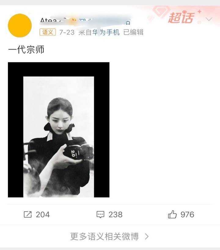 一代宗师被黑的最惨一次[允悲][允悲] ​ ​​​