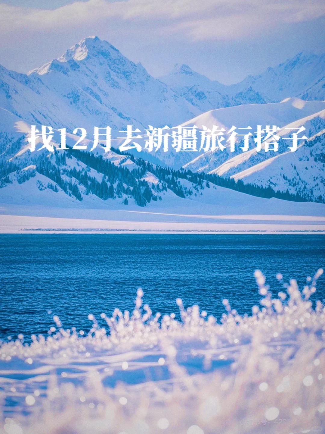 找12月新疆旅拍搭子