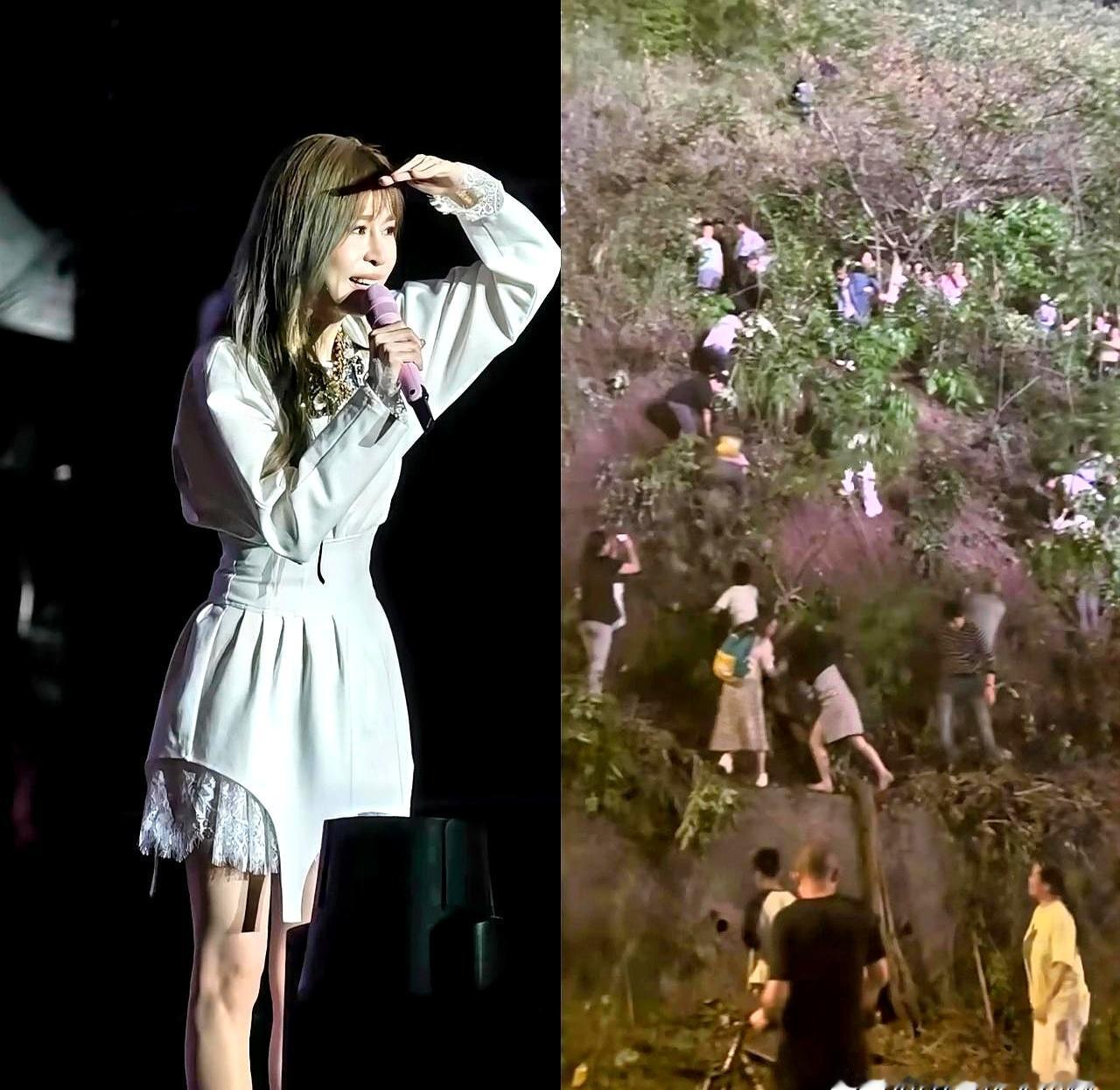 你见过演唱会观众挂在树上看的吗？
王心凌重庆北碚演唱会火到离谱，场外比场内还热闹