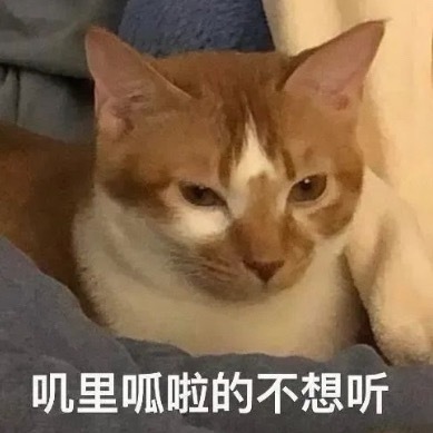 有些话新音前，耳朵都听出茧子了…这次还没栏杆给你们抢，纯拼人头的事，有啥好破防的