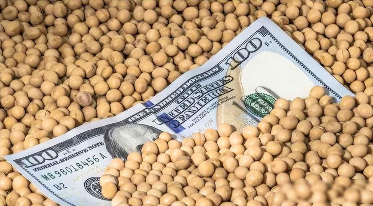 恶性循环！刚买大豆特朗普就翻脸，彻底反制“农夫与蛇”只剩一招
12月3号那天，中