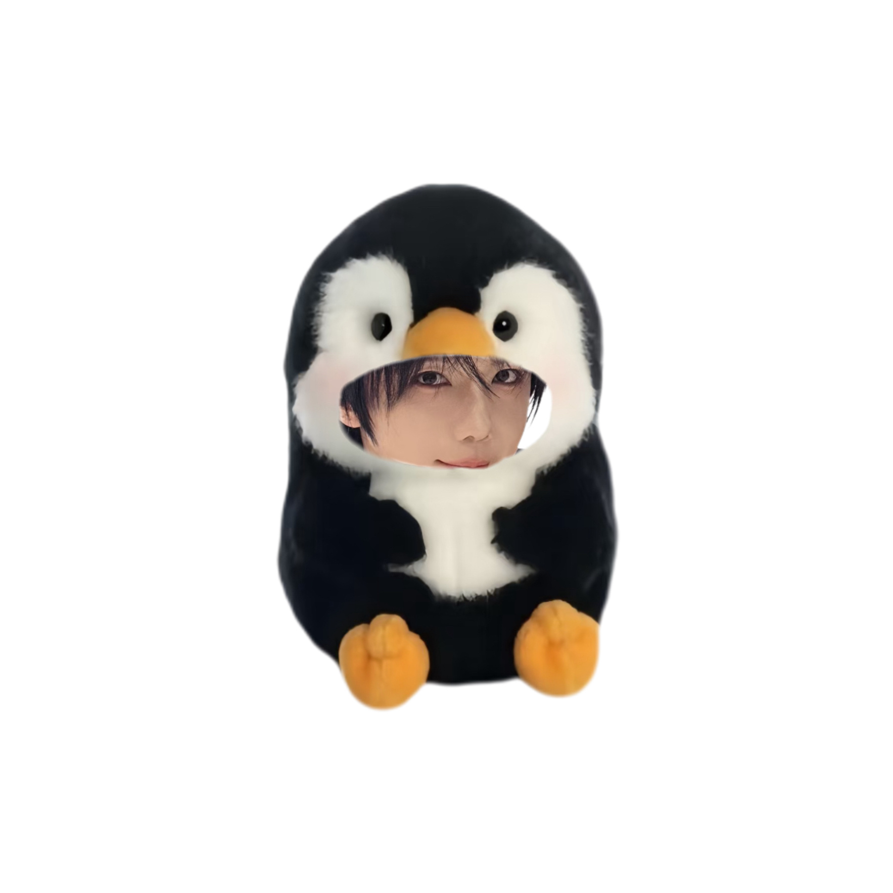 一只小鹅正在暗中观察 ​​​