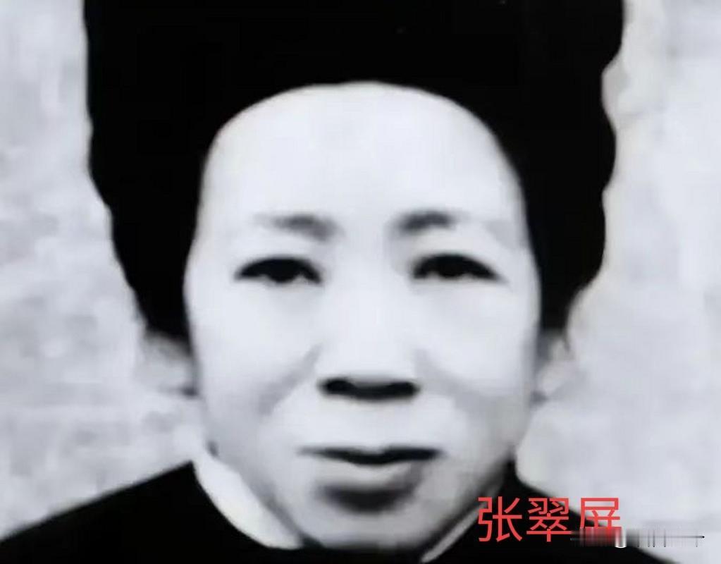 三百八路军被七千日寇包围，危急时刻，孕妇张翠屏说：我带你们走！
 
1943年寒