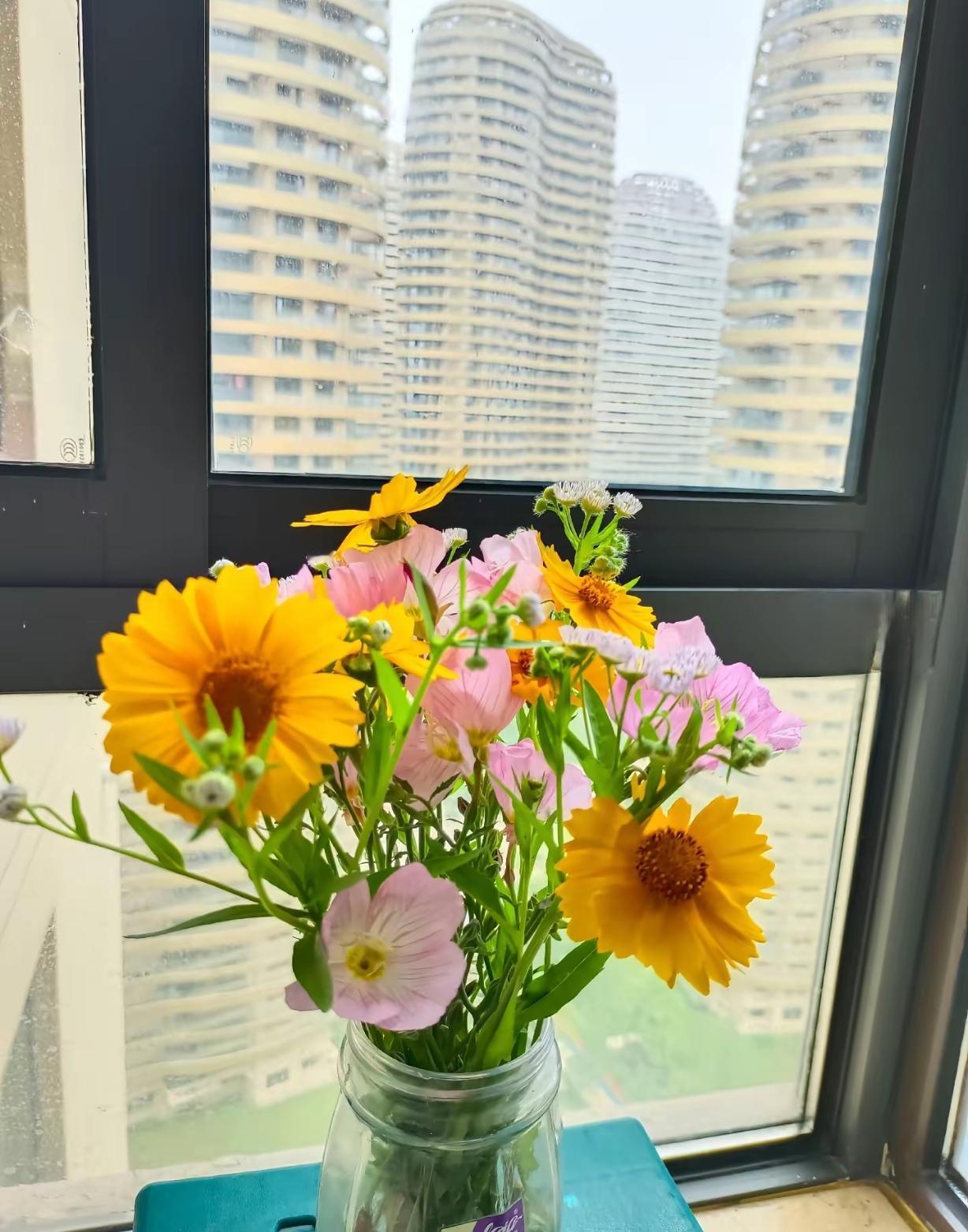 春日生活打卡季 春日生活，不必人挤人去远方，低成本也能有高情绪。
我在窗台上花3