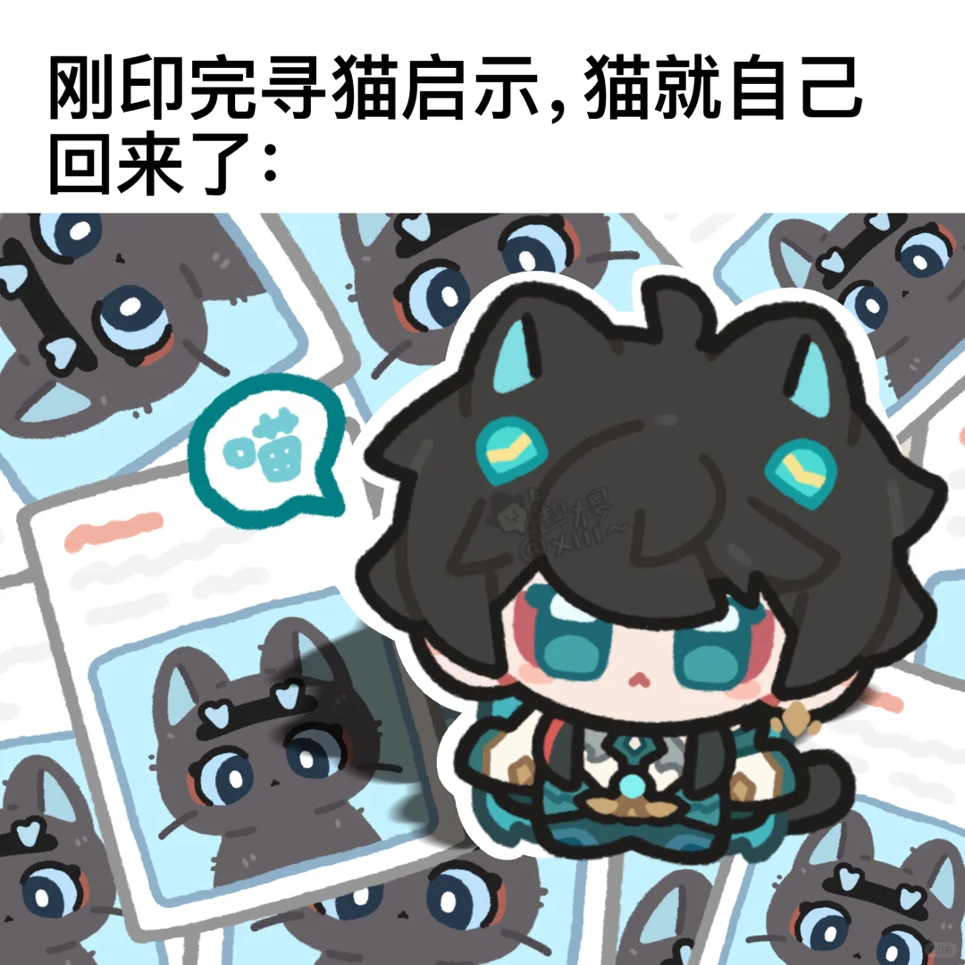 刚印完寻猫启示，猫猫就回来了