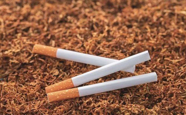 一年上缴1.65万亿，国家却突然对烟草下重手！
烟草到底有多赚钱？看2025年的