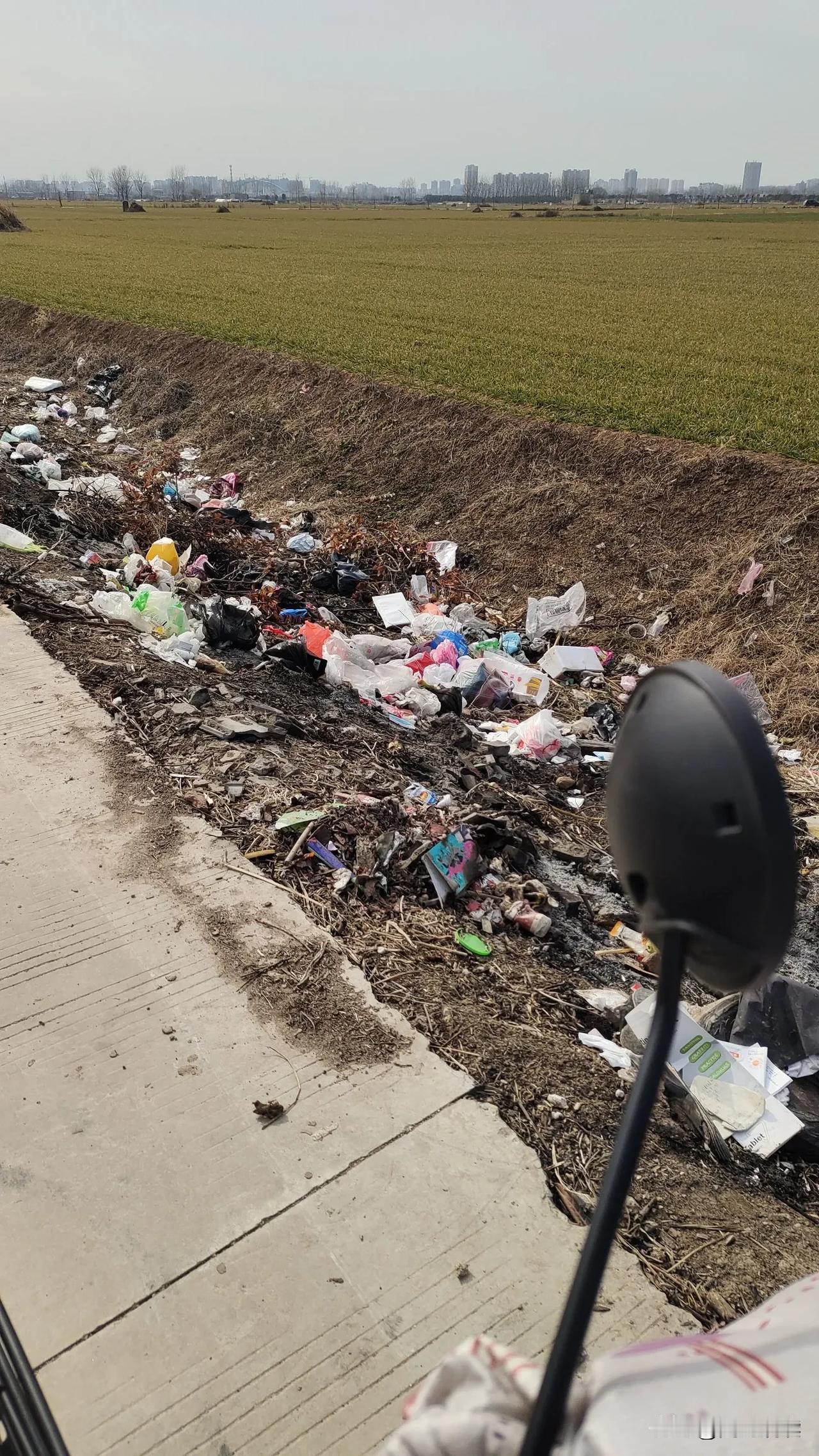 今天上午，骑着电瓶车在地里走走，早春的空气冷但不凛冽了，阳光照在身上非常舒服，心