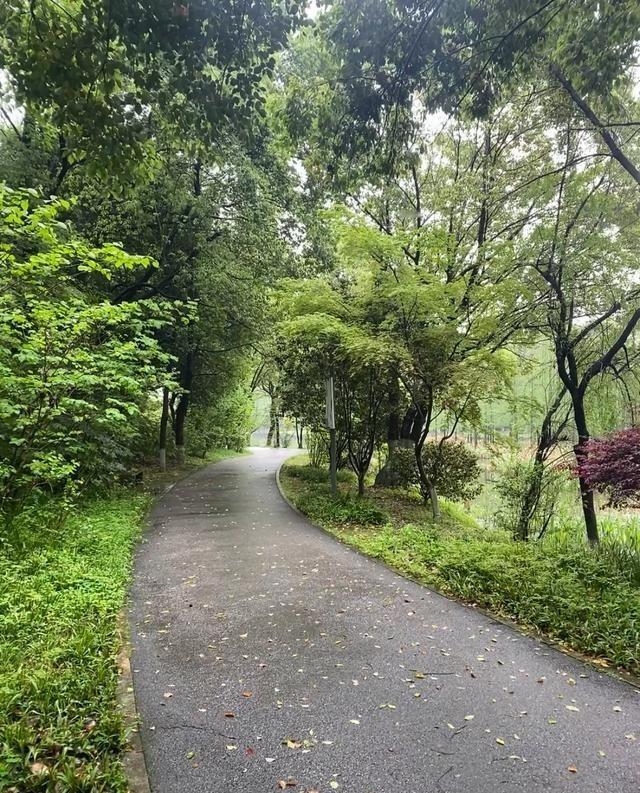 白露到了，这3件事做对，秋冬少生病
昨晚邻居王阿姨端着一碗银耳梨汤敲我家门，说她