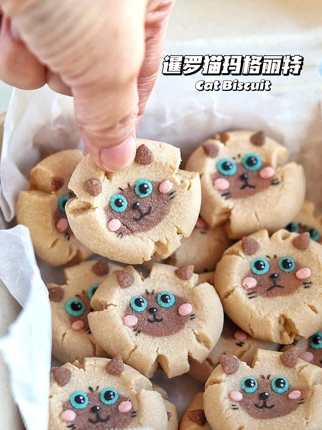 🔥暹罗猫玛格丽特饼干！香酥好吃有手就会