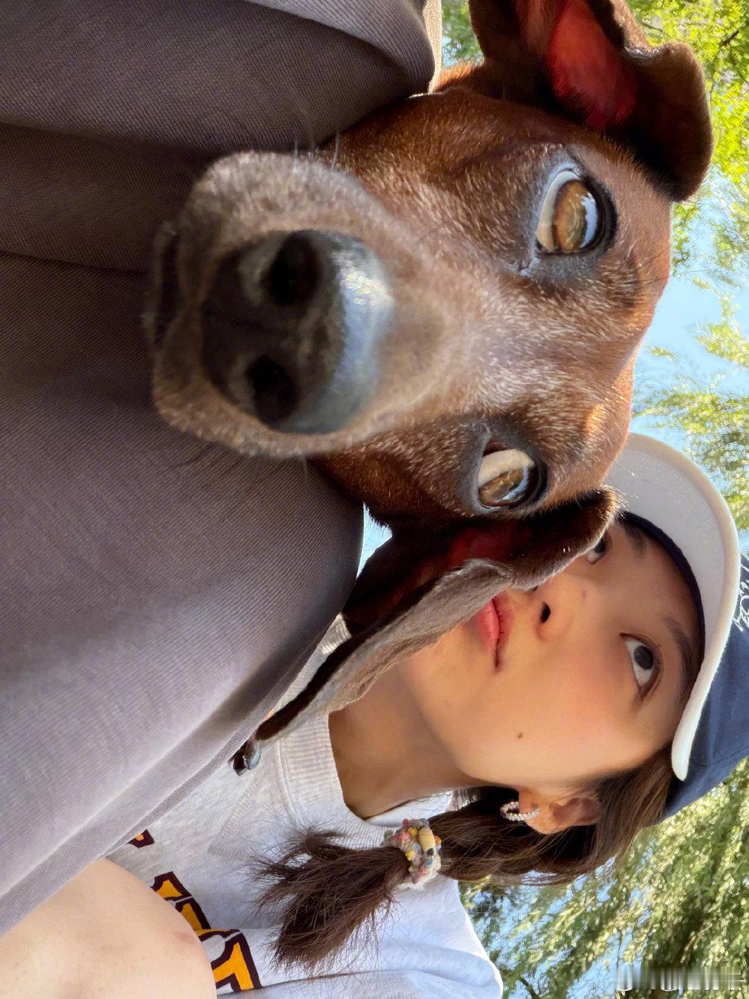孙千包里装着狗狗 尚之桃有卢克孙千有好朋狗 追过剧的朋友们都知道尚之桃养了一只萨