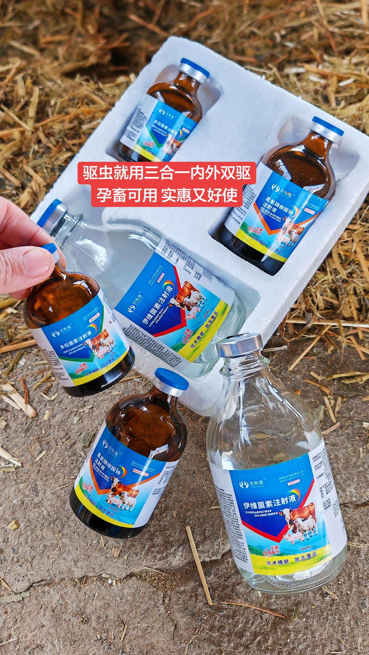 牛羊养殖 养殖场专用 农村养羊