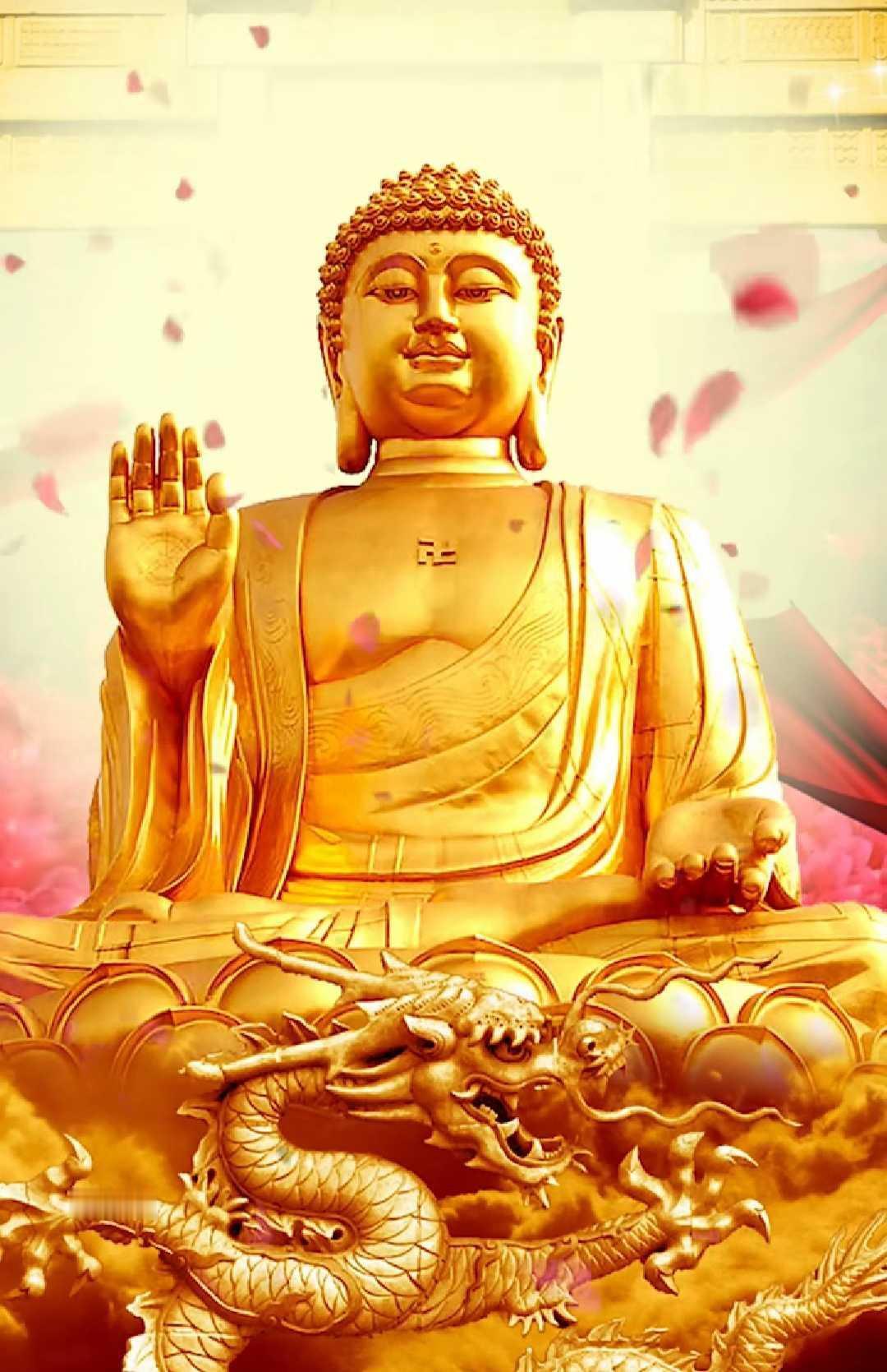懂尊重，才有尊敬；懂让步，才有天空；懂付出，才能得到；懂珍惜，才配拥有；懂选择，