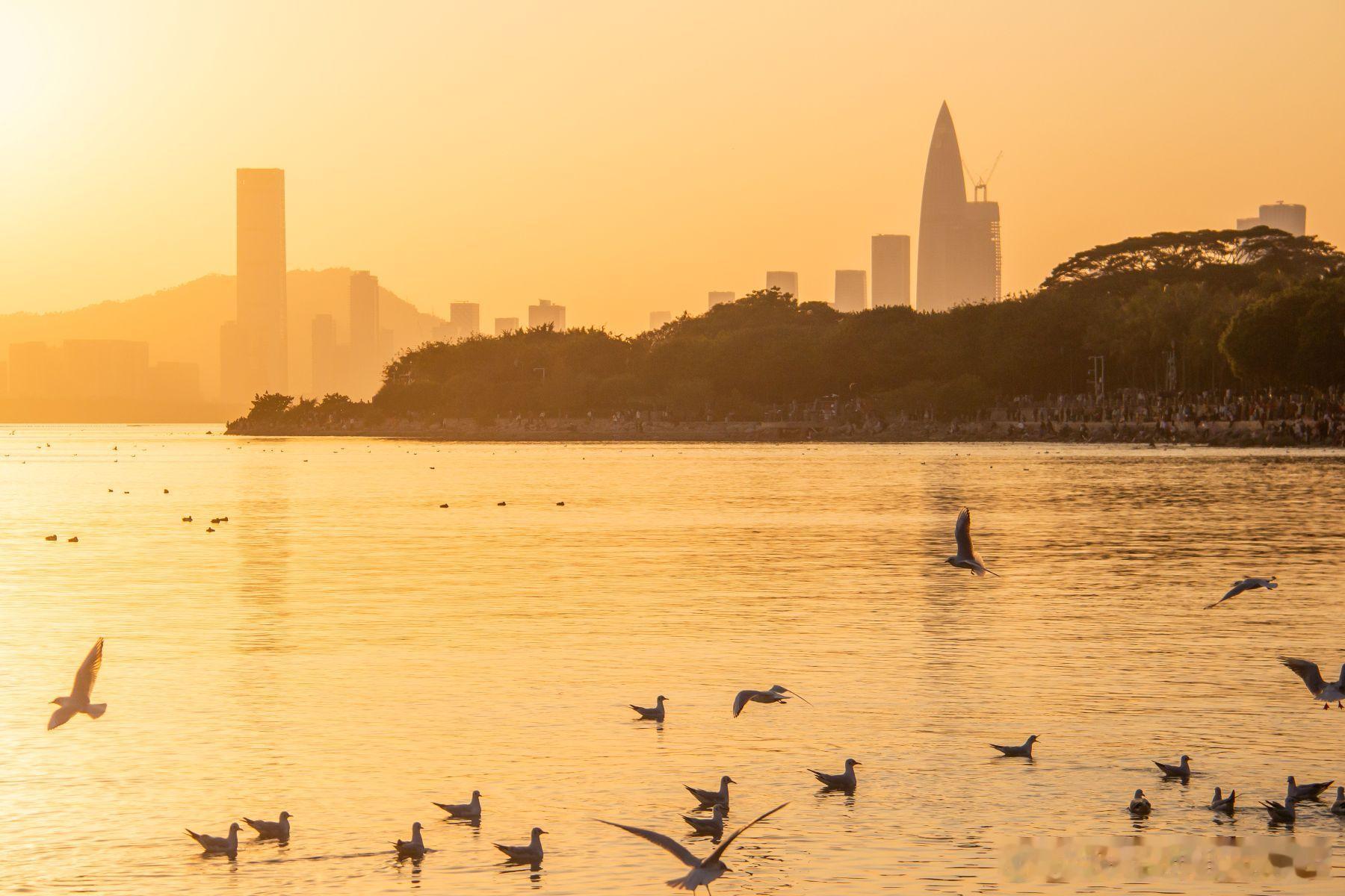 【融资必修课】人工智能项目估值：告别“市梦率”，回归产业逻辑核心观点：AI 不仅