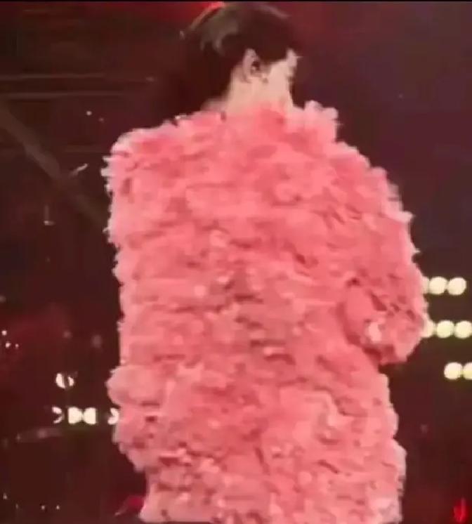 刷到一篇小作文，作者直接点名佟大为孙红雷吴京华晨宇李宇春，还加一个“蔡某人”，说