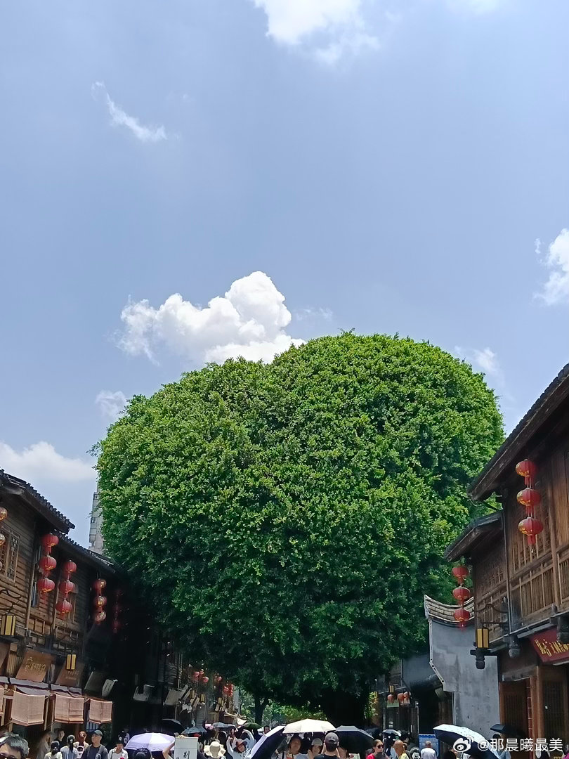三坊七巷爱心树打卡分享日常福州三坊七巷日常分享