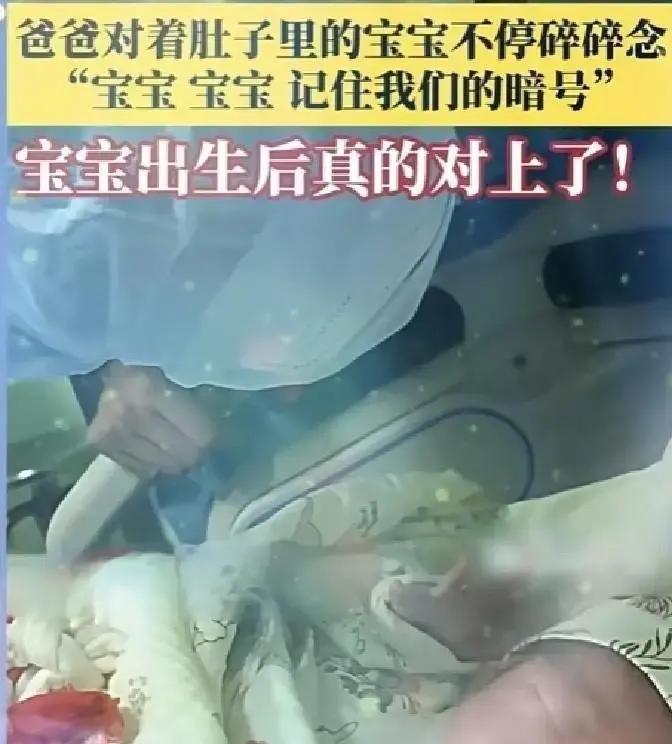 山东准爸爸对着媳妇肚子说早安晚安快三百天，娃落地第一声就冲他笑。
我看完直接破防