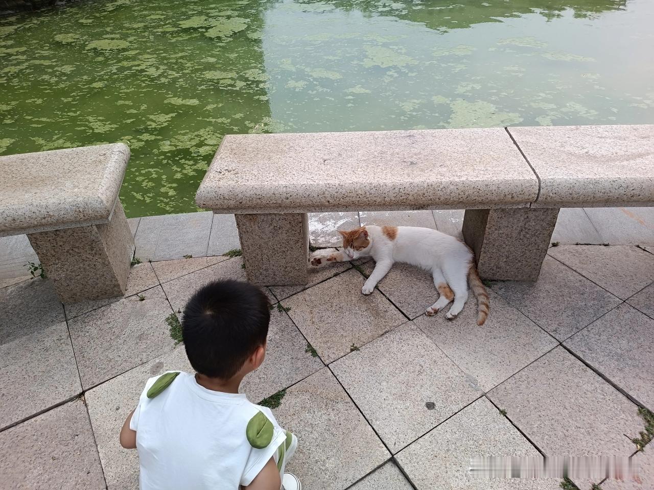 快乐就在低头可见的那朵花里，在日常细碎美好中，在内心的满足与从容里。
如同池塘边