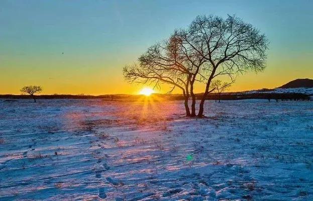 冬天

             冬天的寒冷是别样的温馨
           